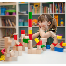 Blocs magnétiques en bois